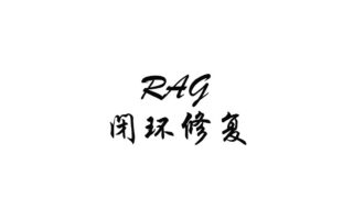 一次 RAG 闭环修复：先让知识库问答真正跑起来